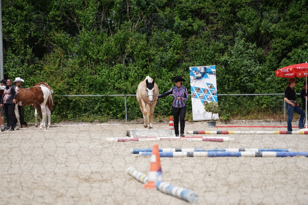 s_A9_06486.jpg